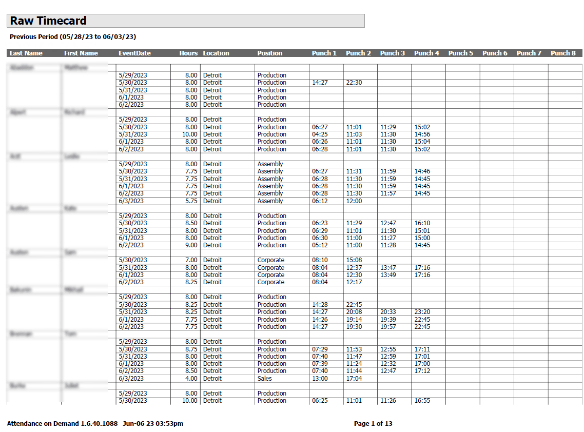 Punch Details Report Example